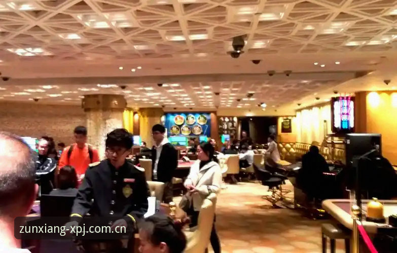 新莆京平台下载与至尊娱乐体验详解